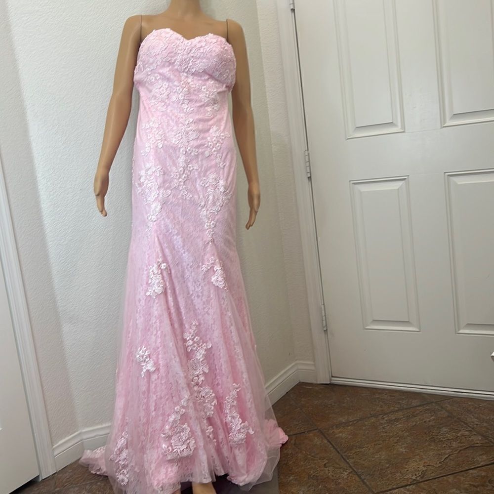 Hebron Pink Wedding Dress Sheer Embroidered Floral Lace High End